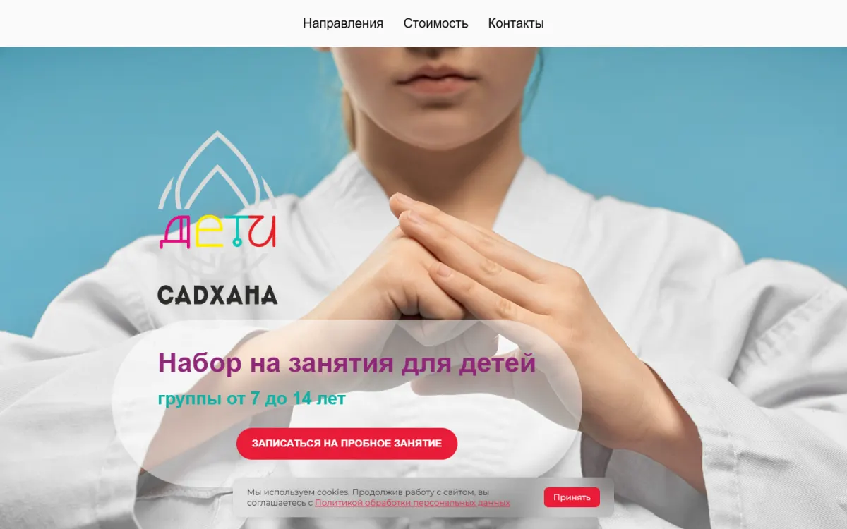 Садхана дети — Творческие студии для детей от 3 до 16 лет